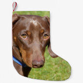 Dackel Kleiner Weihnachtsstrumpf (Vorderseite)