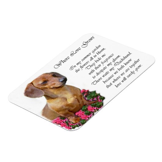 Dackel Kunstgeschenke Magnet (Linke Seite)