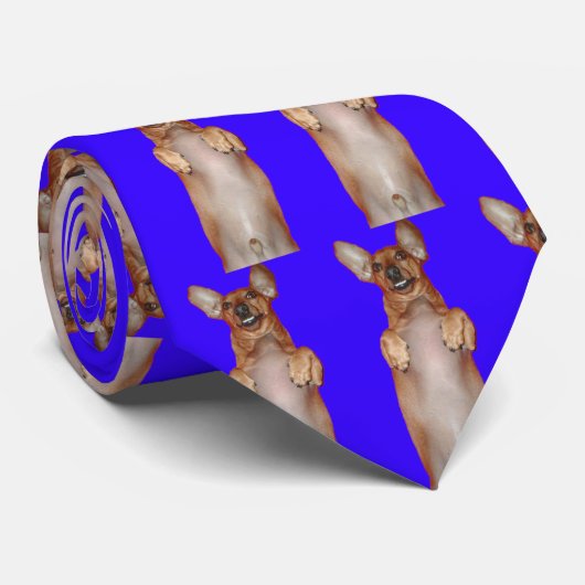 Dackel-Lächeln-Krawatte Krawatte (Gerollt)
