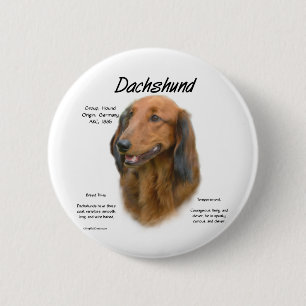 Dackel (Langhaar) Geschichtsdesign Button
