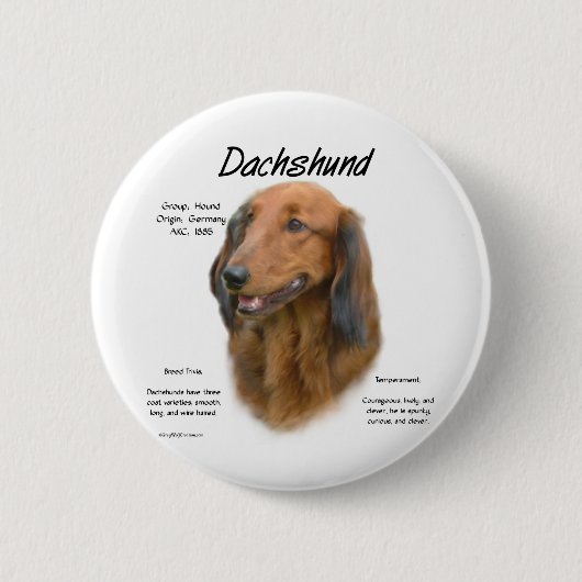 Dackel (Langhaar) Geschichtsdesign Button (Vorderseite)
