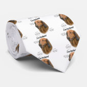 Dackel (Langhaar) Geschichtsdesign Krawatte (Gerollt)