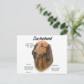 Dackel (Langhaar) Geschichtsdesign Postkarte (Stehend Vorderseite)