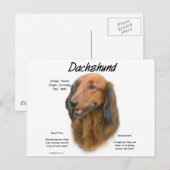 Dackel (Langhaar) Geschichtsdesign Postkarte (Vorne/Hinten)