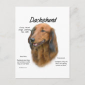Dackel (Langhaar) Geschichtsdesign Postkarte (Vorderseite)