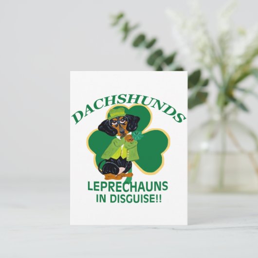 DACKEL LEPRECHAUN POSTKARTE (Stehend Vorderseite)