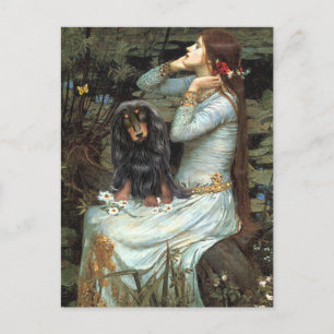 Dackel (LH-BT) - Ophelie 2 Postkarte