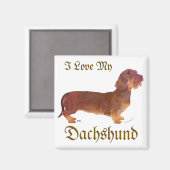 Dackel Liebe Magnet (Vorderseite/Rückseite)