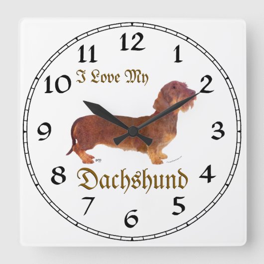 Dackel Liebe Quadratische Wanduhr (Vorderseite)