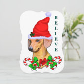 Dackel liebt Weihnachten (Stehend Vorderseite)