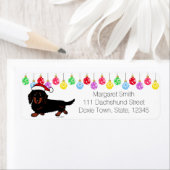 Dackel Long Hairs Black und Tan Santa (Insitu)