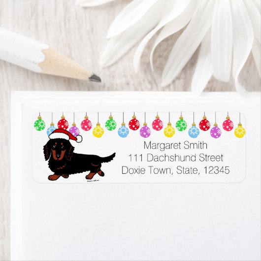 Dackel Long Hairs Black und Tan Santa (Insitu)