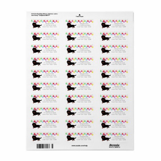 Dackel Long Hairs Black und Tan Santa (Vorne)