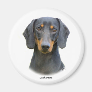 Dackel Magnet