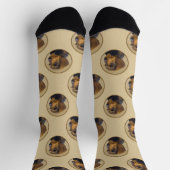 Dackel Malen von Drahthaarfalten, Schwarz & Tan Hu Socken (Oben)