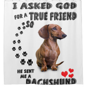 Dackel Miniaturgeschenk, Wursthund, Würstchen Wog, Duschvorhang