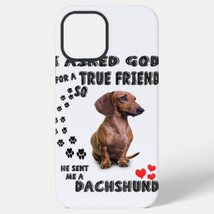 Dackel Miniaturgeschenk, Wursthund, Würstchen Wog, iPhone 12 Pro Max Hülle