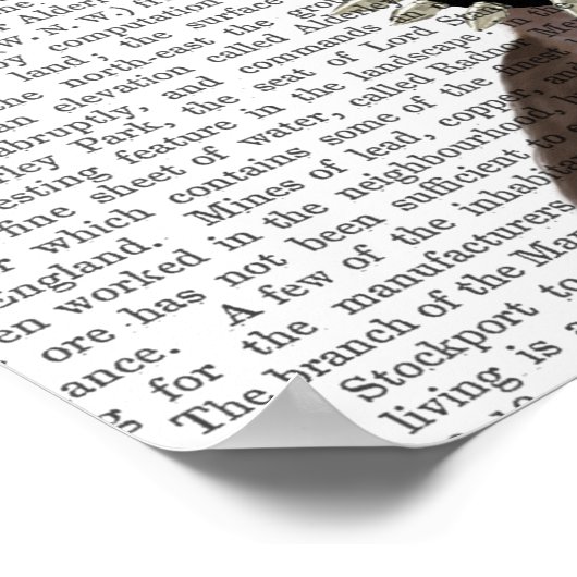 Dackel mit Blue Top Hat und Blue Mustache Poster (Ecke)