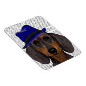 Dackel mit Blue Trilby Magnet (Rechte Seite)