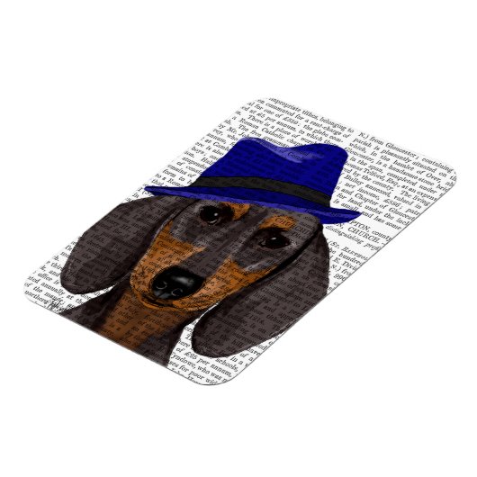 Dackel mit Blue Trilby Magnet (Linke Seite)