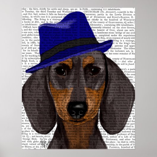 Dackel mit Blue Trilby Poster (Vorne)