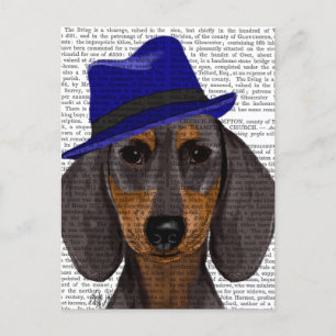 Dackel mit Blue Trilby Postkarte