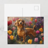 Dackel mit Frühlingshuppchen Postkarte (Vorne/Hinten)