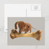 Dackel mit großem Knochen Postkarte (Vorne/Hinten)