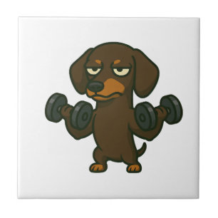 Dackel mit Hantel-Fitness-Training Bizeps wo Fliese