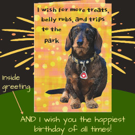 Dackel mit Kabelhaar Spaß Happy Geburtstag Karte