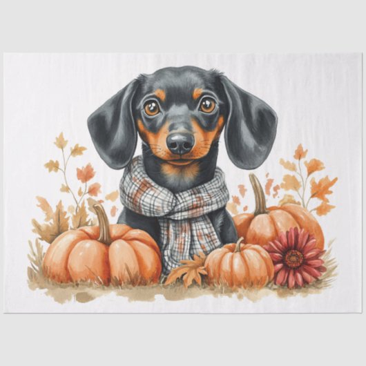 Dackel mit Pumpkins Decoupage Seidenpapier (Vorderseite)