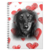 Dackel mit Rotem Herzen Notizblock (Vorderseite)