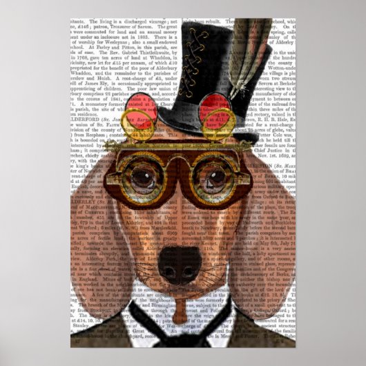 Dackel mit Top Hat und Goggles Poster (Vorne)