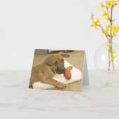 Dackel-Mitteilungskarten 3 Karte (Gelbe Blume)