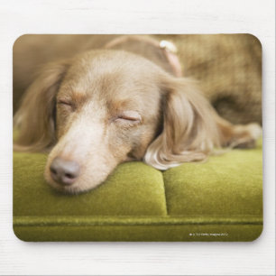 Dackel Mousepad