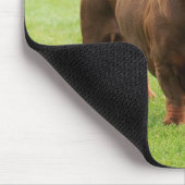 Dackel Mousepad (Ecke)