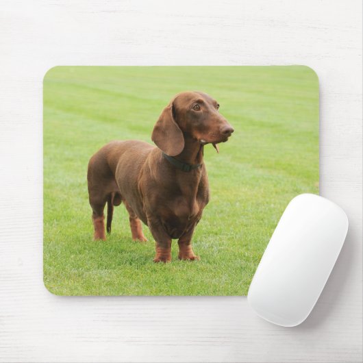 Dackel Mousepad (Mit Mouse)