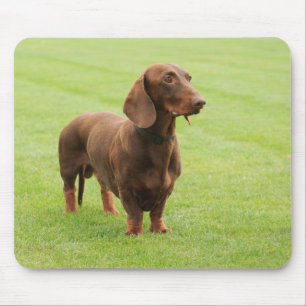Dackel Mousepad