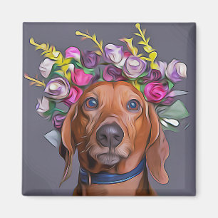 Dackel Naher Anstieg der Dackel mit Blume Magnet