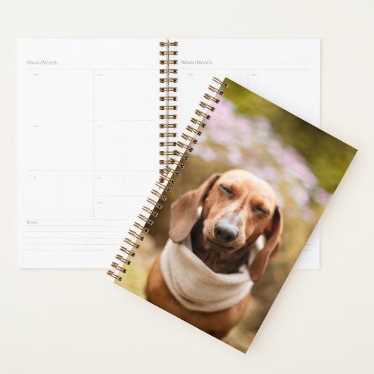 Dackel niedlich planer (Anzeige)