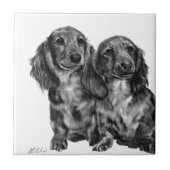 Dackel-Paare Fliese (Vorderseite)