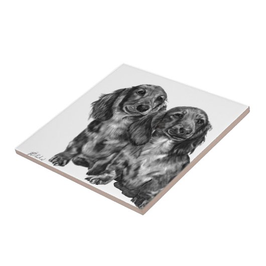 Dackel-Paare Fliese (Seite)