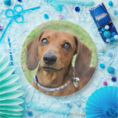 Dackel Pappteller (Party)