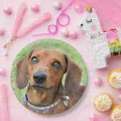 Dackel Pappteller (Party)