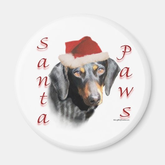 Dackel Paws (glatt) Magnet (Vorne)