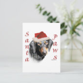 Dackel Paws (glatt) Postkarte (Stehend Vorderseite)