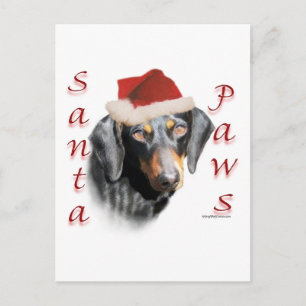Dackel Paws (glatt) Postkarte