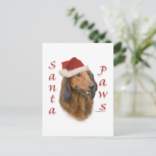 Dackel Paws - Langhaar Postkarte (Stehend Vorderseite)