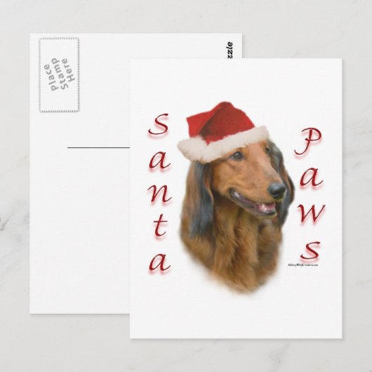 Dackel Paws - Langhaar Postkarte (Vorne/Hinten)