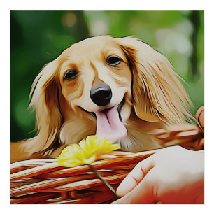 Dackel Person Hand zeigen eine Blume zu einer Dack Poster